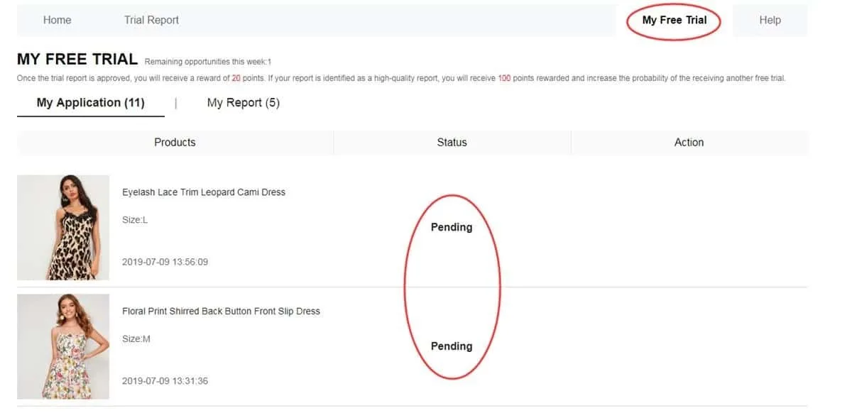 Checking approved and unsuccessful SHEIN Free Trial applications