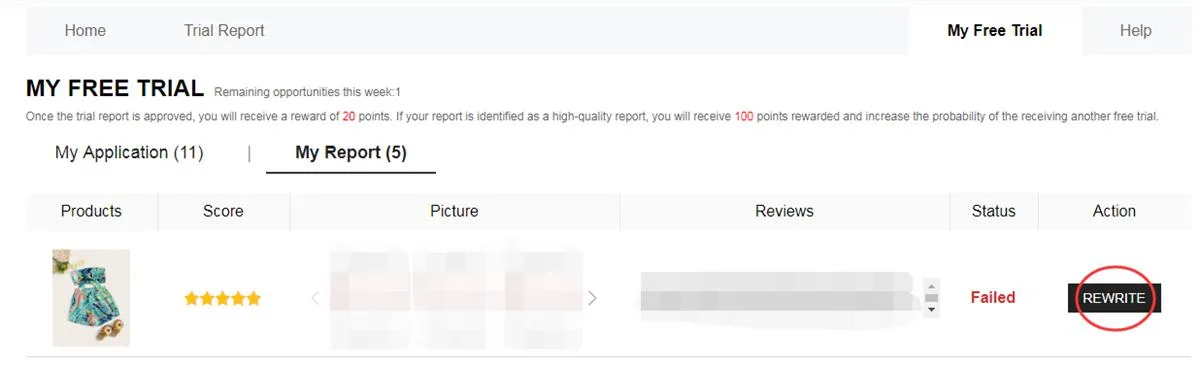 SHEIN report rewrite and review correction interface