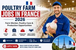 Poultry Farm Jobs in France 2026 768x512