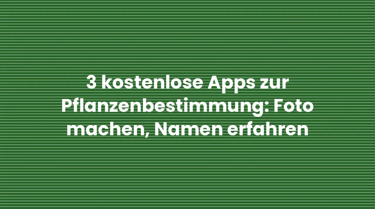 3 kostenlose Apps zur Pflanzenbestimmung: Foto machen, Namen erfahren